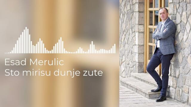 ESAD MERULIC - STO MIRISU DUNJE ZUTE (OFFICIAL AUDIO)