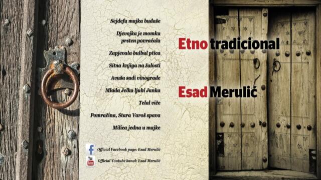 Esad Merulic - Zapjevala bulbul ptica - (Audio 2016)