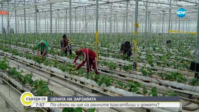 По-скъпи ли ще са ранните краставици и домати: Производителите искат 0% ДДС