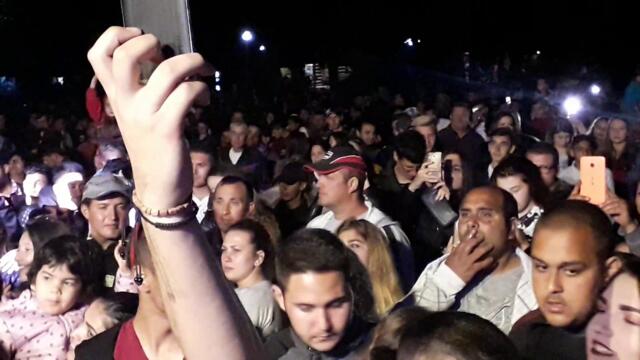 Камелия  луда по тебе