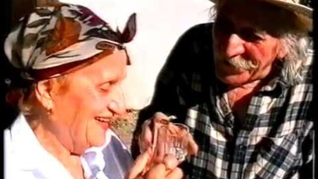 Иван Данов Ватмана - Заспала йе баба Дора