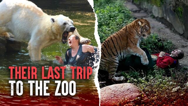 The Deadliest Zoo Attacks: When Animals Bite Back