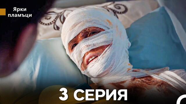Яркое пламя 3 Серия (русский дубляж)