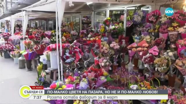 Рози, лалета, гербери – кои цветя са най-търсени за Деня на жената