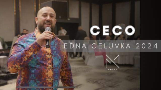 CECO - EDNA CELUVKA 2024 / ЦЕЦО - ЕДНА ЦЕЛУВКА 2024