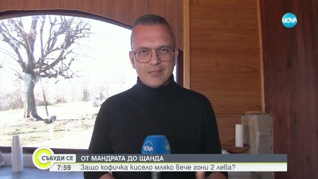 От мандрата до щанда: Колко струва киселото мляко и можем ли да го приготвим вкъщи