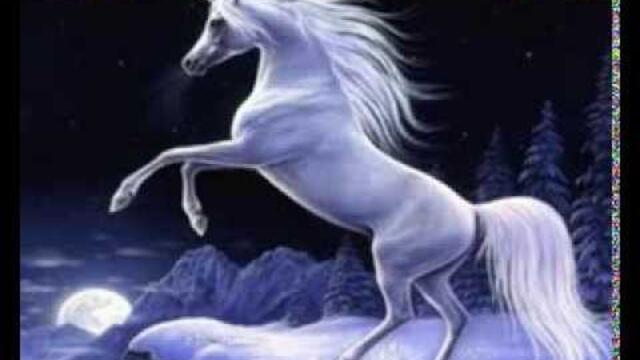 орк. Оазис - Седем бели коня / ork. Oazis - Sedem beli konia