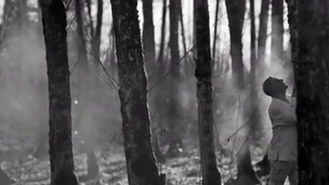 Andy Bell's new single ‘Don’t Cha Know’