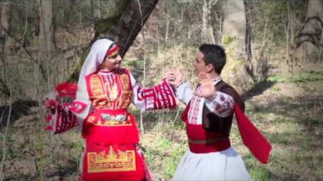 Гълъбице бяла -- Володя Стоянов- Войводата