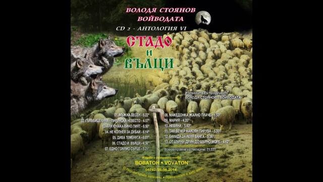Стадо и вълци- Володя Стоянов- Войводата