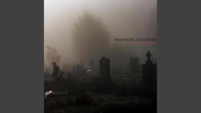 Desde otra dimensión