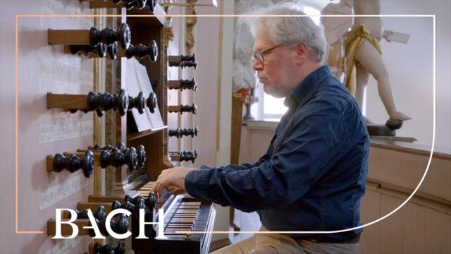 Bach - In dir ist Freude BWV 615 - Jellema | Netherlands Bach Society