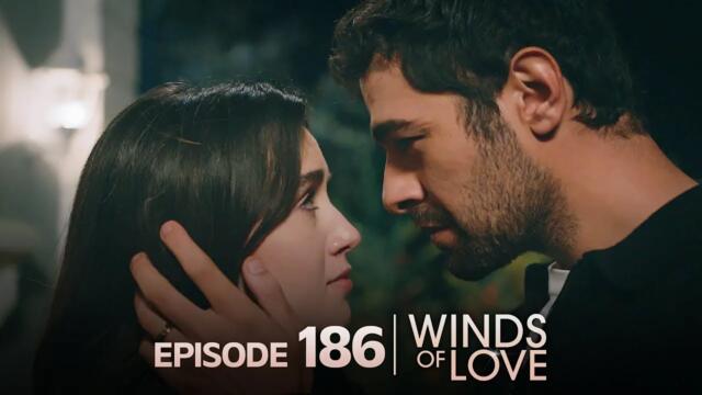 Rüzgarlı Tepe 186. Bölüm | Winds of Love Episode 186