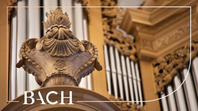 Bach - Fantasia Super: Komm, Heiliger Geist BWV 651 - Van Doeselaar | Netherlands Bach Society