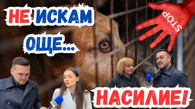 ПРОТЕСТ ПРОТИВ НАСИЛИЕТО НА ЖИВОТНИ I ПЕРНИК 17.03.2025