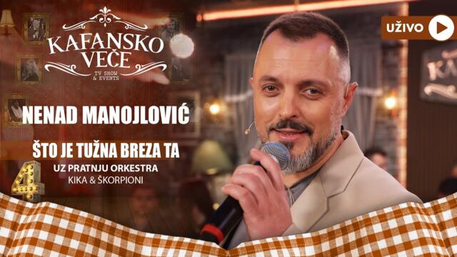 NENAD MANOJLOVIC - STO JE TUZNA BREZA TA | UZIVO | (ORK KIKA I SKORPIONI) | 2023 | KAFANSKO VECE