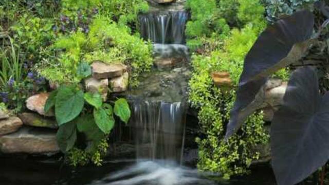 Georgi Hristov - Illusion  : Георги Христов - Илюзия