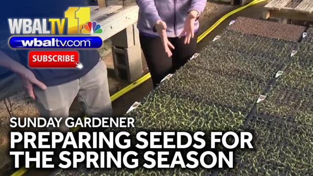 Sunday Gardener: Planting seeds for spring!