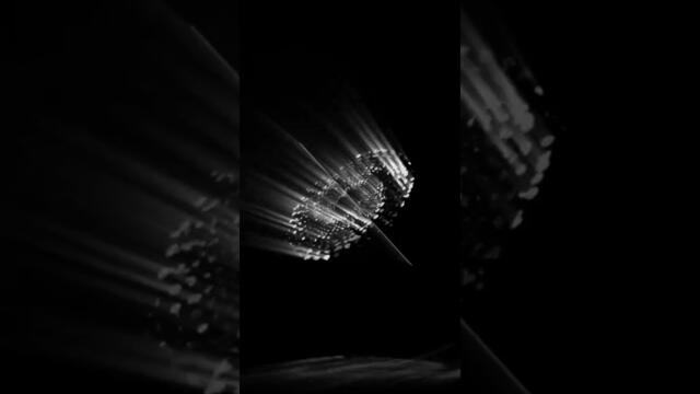 duopps - bg be #music #newmusic #electronicmusic #bass #techno  #psytrance