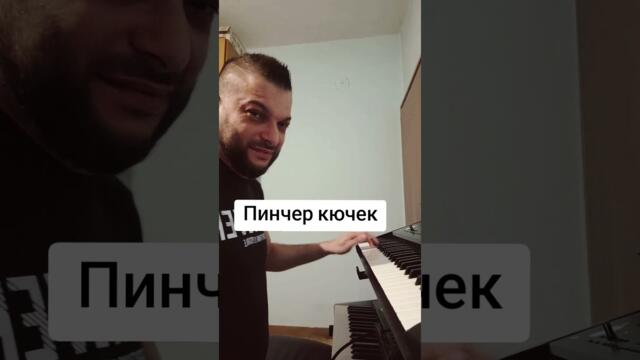 Пинчер кючек