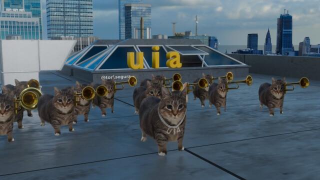 OIIA Cat x CAN'T HOLD US (Macklemore Remix)