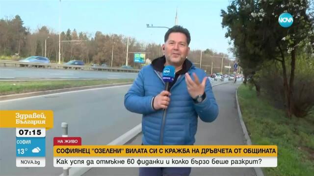 Мъжът, задигнал дръвчета в София, ги крал на два пъти