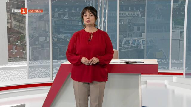 Състезание по фидер риболов на езерото Липник край Русе, "България в 60 минути" 25.03.2025