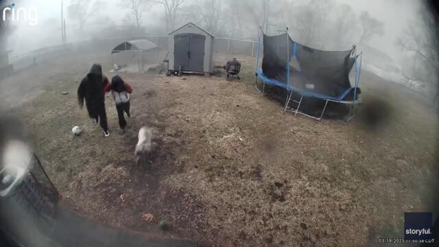 Dog in Tornado's Path of Destruction Saved by Family