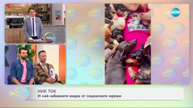 НИК ТОК: Най-любопитното от социалните мрежи - „На кафе“ (26.03.2025)