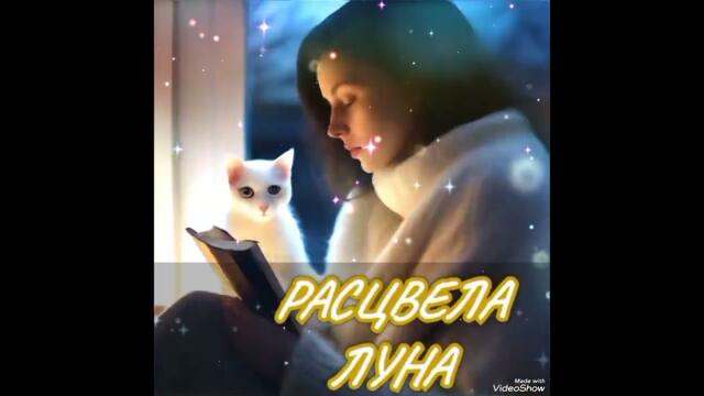 "Полнолуние" Больше Стихов В моём Телеграмм канале: https://t.me/pro100_ta Заходите #стихи