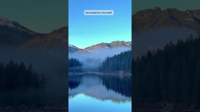 Карта дня 25 марта - Солнце 🌞 #таро #магия #новолуние #полнолуние #ритуалы #обряды #заговоры #tarot