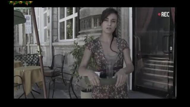 Пустинният бегач 2009