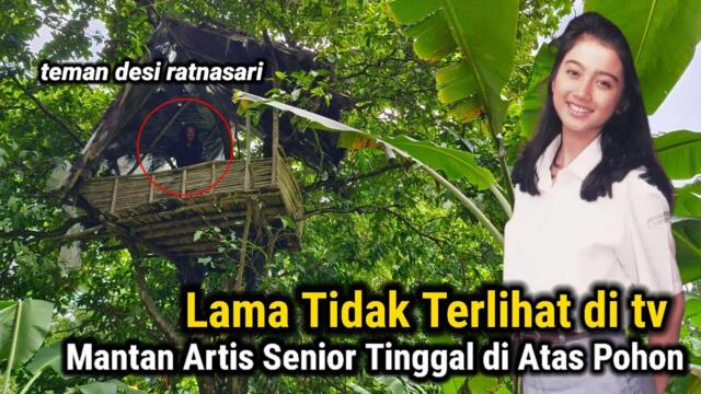 TAK MASUK AKAL!! MANTAN ARTIS SENIOR BERSEMBUNYI DI RUMAH POHON DALAM HUTAN