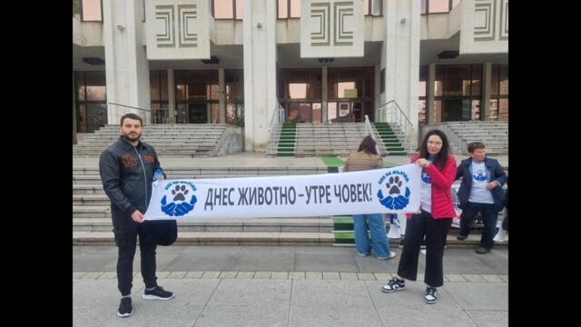 Десетки градове на бунт срещу насилниците над животни: Искаме затвор, не глоби