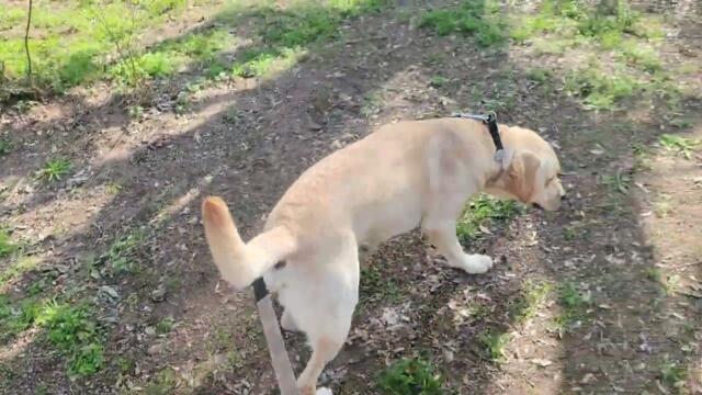 Браво на Макс, минаваме "нормално" до тенис кортовете!