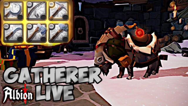 ALBION GATHER LIVE.. PART 1