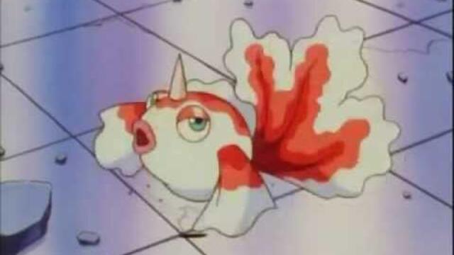 Poissi, poissi poissi Poissirène ♫