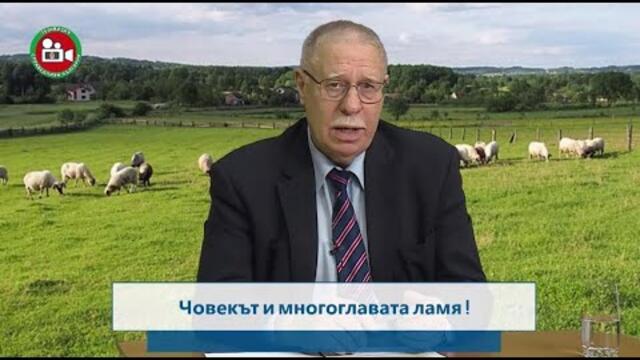 🔴 ЧОВЕКЪТ И МНОГОГЛАВАТА ЛАМЯ I Свободна зона, еп. 8