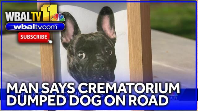 Man says Catonsville crematorium dumped dog on side of road