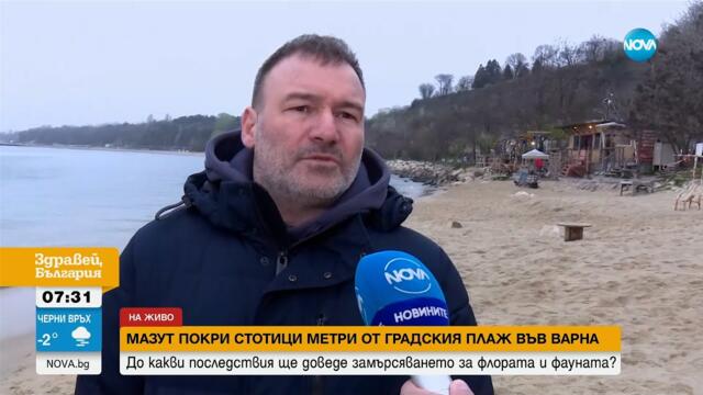 Замърсяването край Варна: Количеството изхвърлени нефтопродукти е между половин и един тон