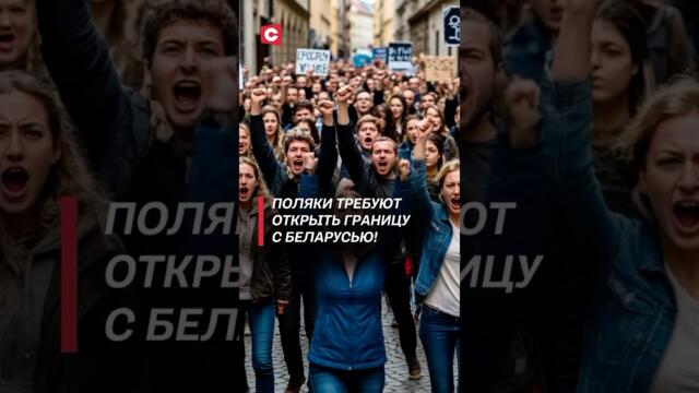 Поляки подали в суд на правительство! Бизнес требует открыть границу с Беларусью! #польша #кризис