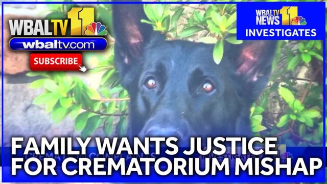 BARCS holding bodies of 8 pets found on side of road