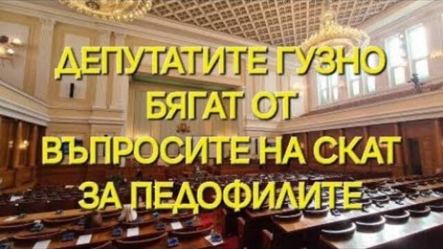 България на борба с педофилията. Нужно е депутатите да се събудят...