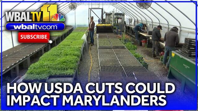 See how USDA program cuts could impact Marylanders