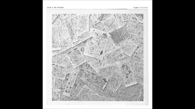 ASUNA & Jan Jelinek - Blinking Of Countless Lines [Faitiche]