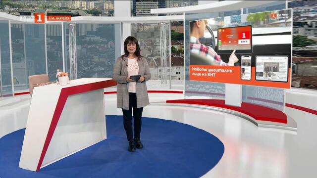 Безпризорни коне продължават да обикалят около Бобов дол, "България в 60 минути" - 02.04.2025