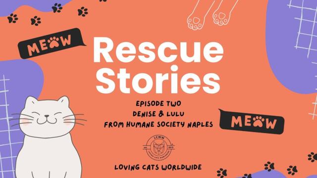 🐾 Rescue Stories - Episode 2: Denise &Lulu 🐾