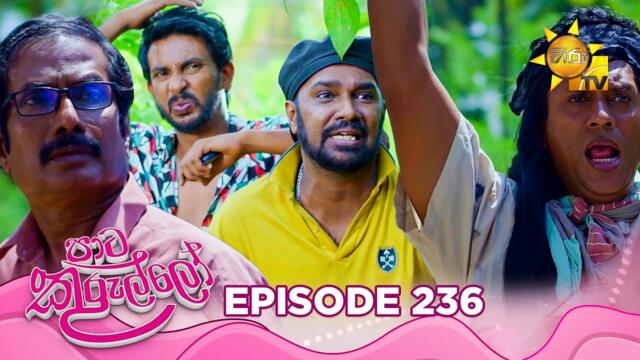 Paata Kurullo - පාට කුරුල්ලෝ | Episode 236 | 2025-04-04 | Hiru TV