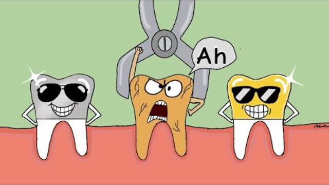 Bad tooth funny cartoon #animation #funny #cartoon