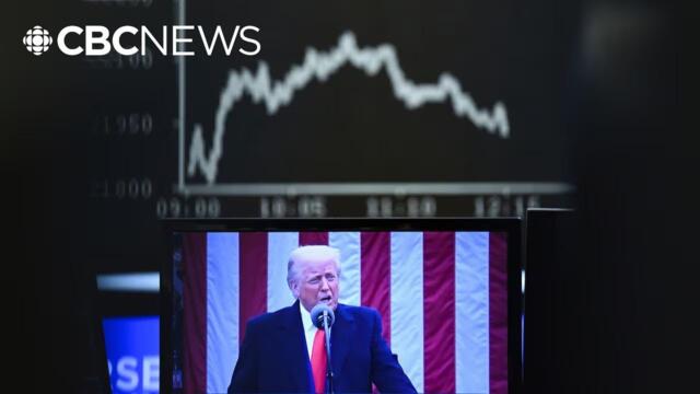 'Trust in President Trump' as markets dive, says White House